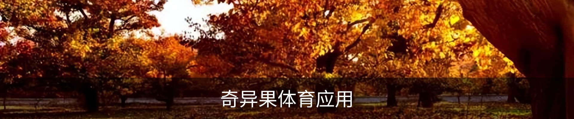 奇异果体育联系方式
